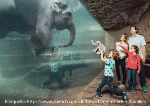 Zoo Zürich - nur ein Ausflugsziel des Kräuter Chalets Hochschwarzwald
