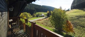 Kraeuter-Chalet-Hochschwarzwald-Hotel-Ferienwohnung-Sommer