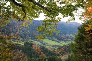 Kraeuter-Chalet-Umgebung-Schwarzwald